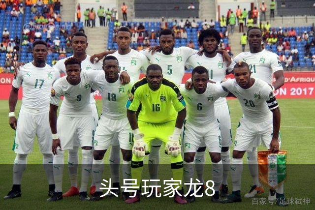 头号玩家龙8公司简介图片